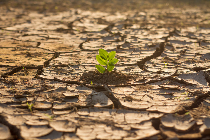 Qual a diferença entre aspecto e impacto ambiental?