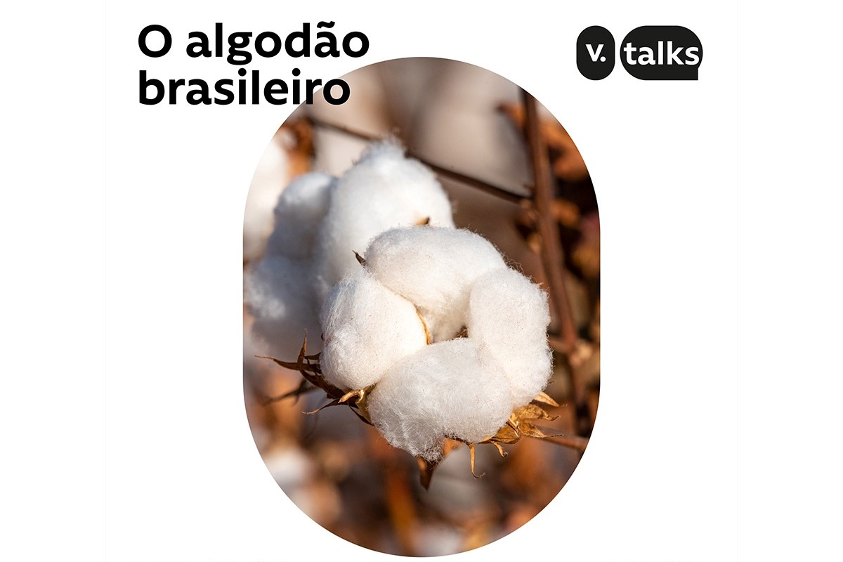 Ouça o quinto episódio do V.Talks | O algodão brasileiro!