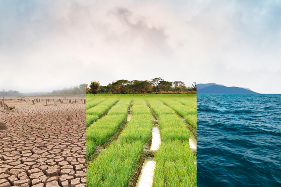 Vamos falar sobre Sustentabilidade? 🌱 Participe dos Diálogos Diários de Saúde, Segurança e Meio Ambiente!